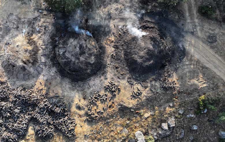 Kilometrelerce uzakta mangal kömürü üreterek geçimlerini sağlıyorlar 7