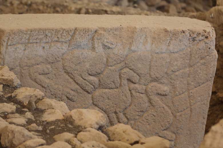 Göbeklitepe ve Karahantepe'deki bulgular tarihe yeni bir bakış açısı getirebilir 15