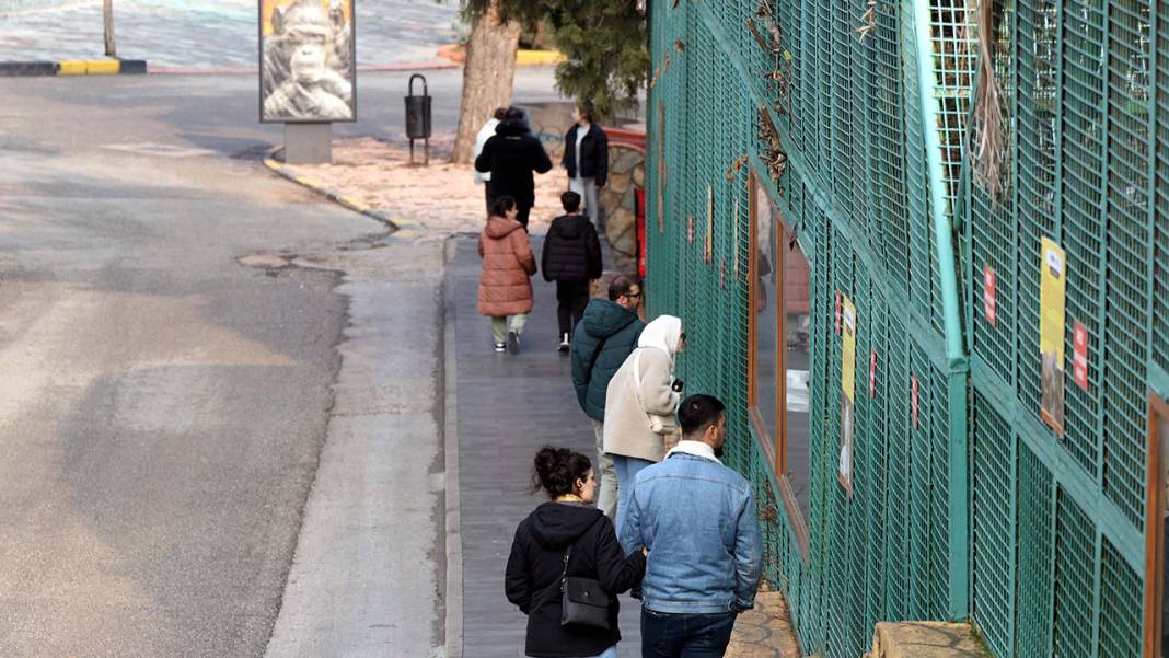 Gaziantep Hayvanat Bahçesi'nde ziyaretçi rekoru 3