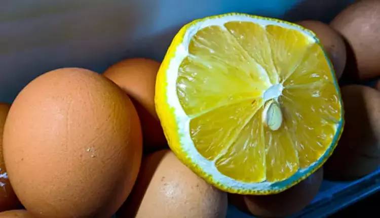 MEĞER YILLARDIR SAĞLIMIZLA OYNUYORMUŞUZ: Yumurta ve limonu buzdolabına koyanlar yandı! 1