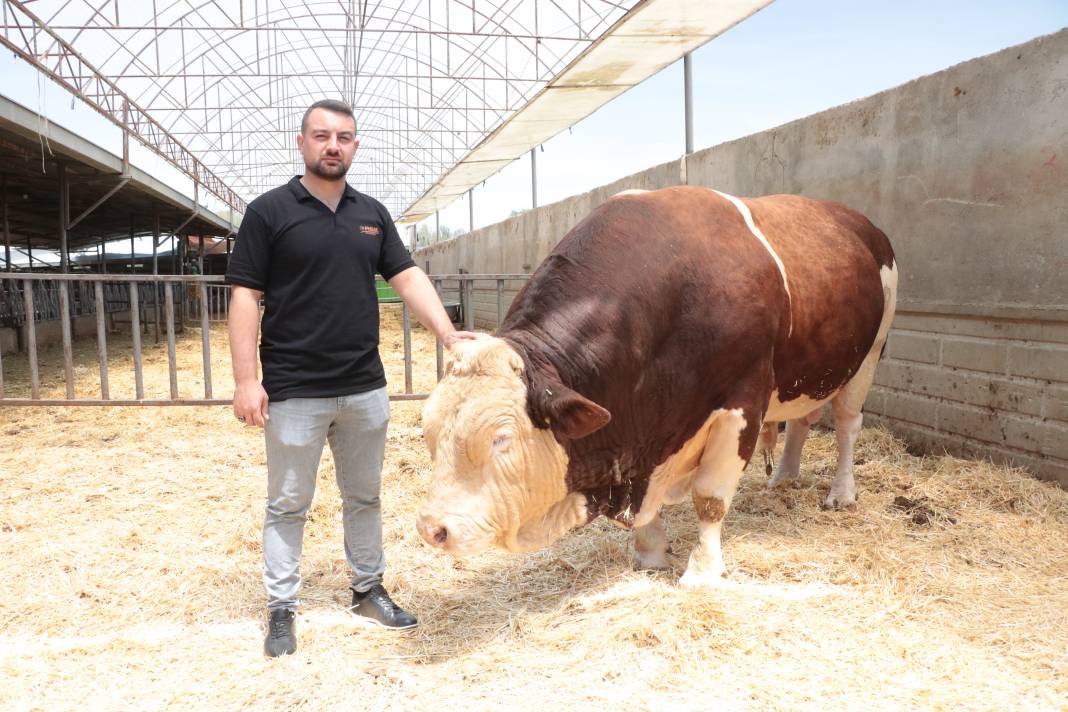 'Poyraz' tamı tamına 1.5 ton! Fiyatı sıfır araba parası 1