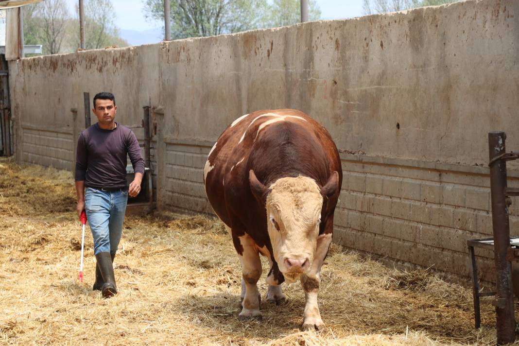 'Poyraz' tamı tamına 1.5 ton! Fiyatı sıfır araba parası 3