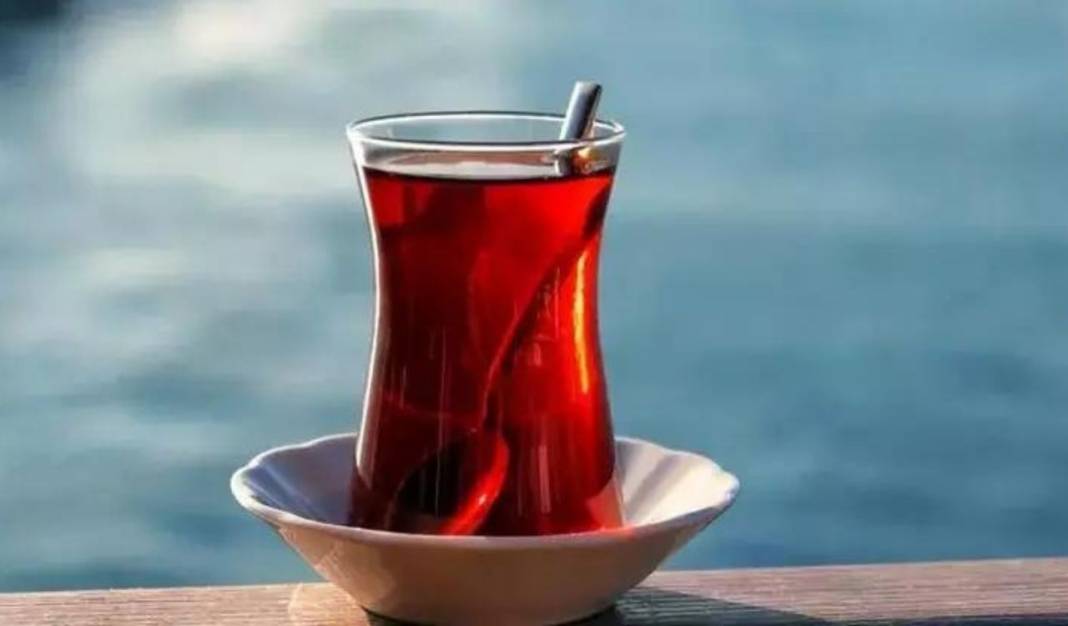 YAŞ ÇAY ALIM FİYATLARI BELLİ OLDU: 2025 Yaş çay alım fiyatı ne kadar oldu? 3