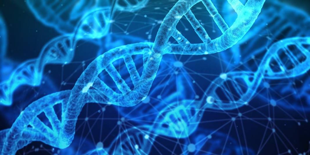 EĞLENCESİNE DNA TESTİ YAPTIRDI HAYATININ ŞOKUNU YAŞADI: Kocası meğer kardeşiymiş! 2
