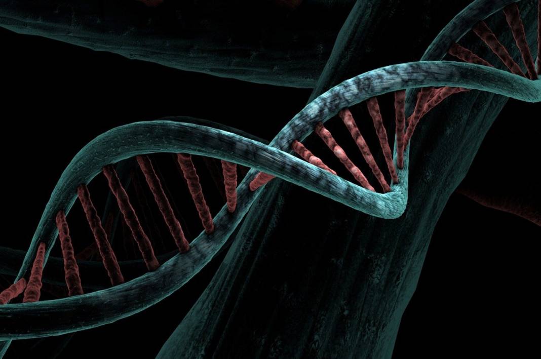 EĞLENCESİNE DNA TESTİ YAPTIRDI HAYATININ ŞOKUNU YAŞADI: Kocası meğer kardeşiymiş! 3