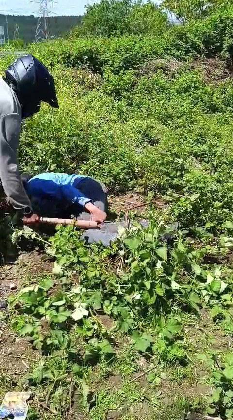 Cinsel içerikli paylaşım yaptı diye sopayla dakikalarca dövülmüştü: Flaş gelişme, gözaltına alındı 1