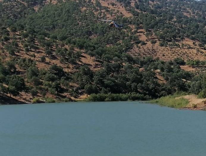 Türkiye alev alev yanıyor! İzmir, Antalya, Kahramanmaraş... 6