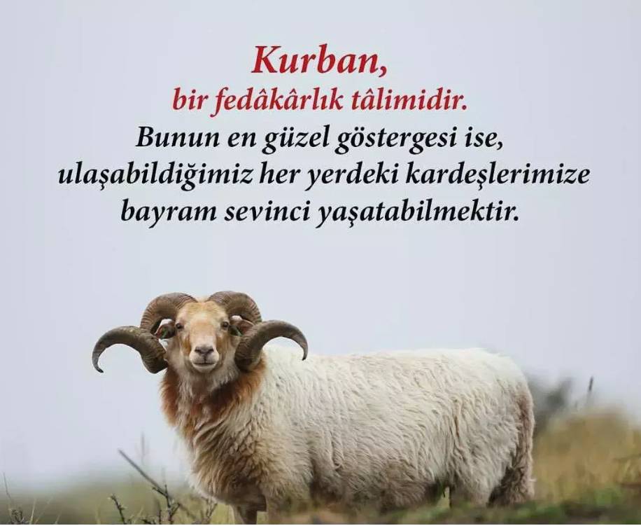 KURBAN BAYRAMI 2025 MESAJLARI VE SÖZLERİ: WhatsApp, Instagram, SMS için dini, duygusal, resimli, kısa Kurban Bayramı mesajları 10