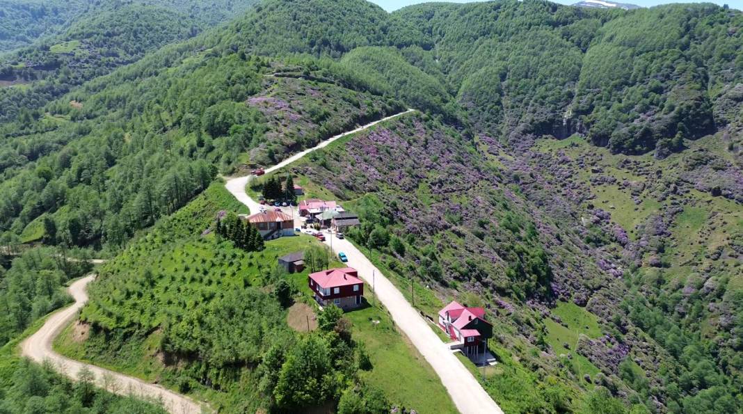 Duygulandıran dostluk! Yatağa bağlı arkadaşının ayağına yaylaları getirdi! 3