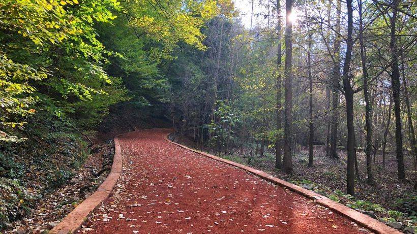 Hafta sonunuzu eşsiz kılacak rota: Belgrad Ormanı’nı gezmek hiç bu kadar keyifli olmamıştı! 8