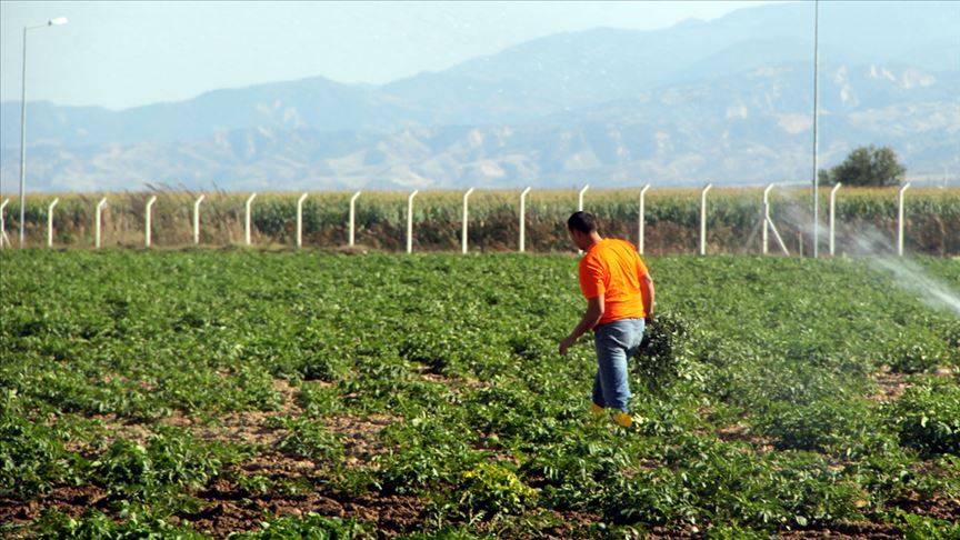 Çiftçiyi sevindiren haber: Tarıma dev destek geliyor! 10,2 milyar liralık hibe verilecek 1