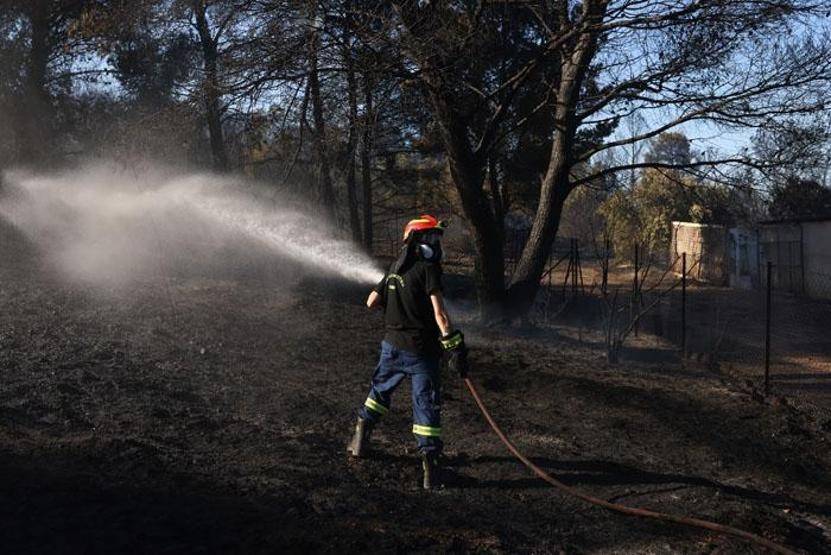 İzmir Ödemiş alev alev: Felaketten kaçış böyle görüntülendi 5