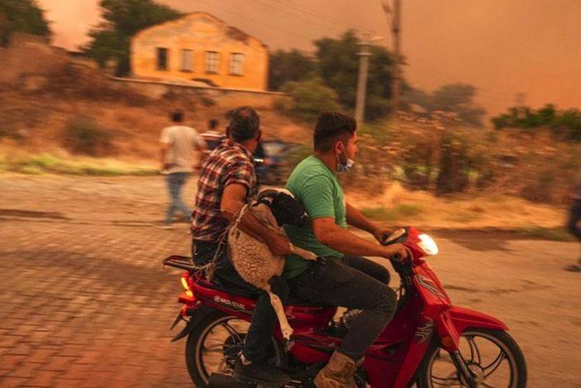 İzmir Ödemiş alev alev: Felaketten kaçış böyle görüntülendi 1