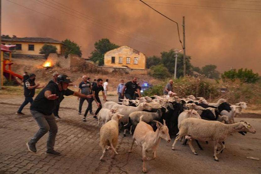 İzmir Ödemiş alev alev: Felaketten kaçış böyle görüntülendi 4