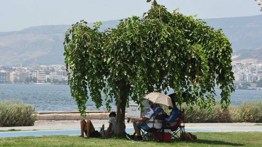 Adeta cehennem gibi! Türkiye, Eyyam-ı Bahur sıcaklarının etkisinde, yeni rekorlar kapıda 1