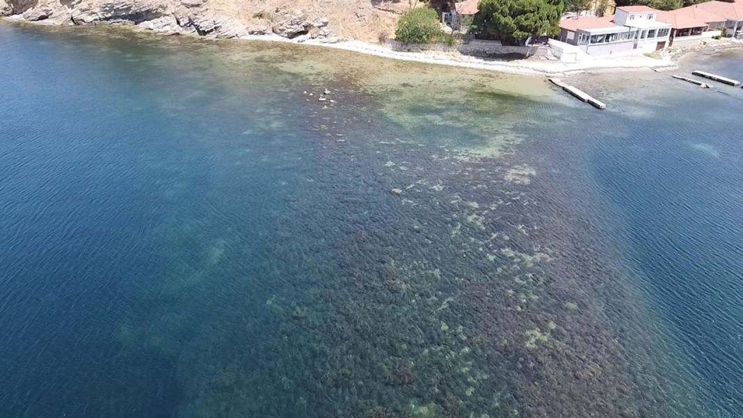 Antik kent Parion’un derinliklerinden Osmanlı çıktı: Su altında tersane kalıntıları 6