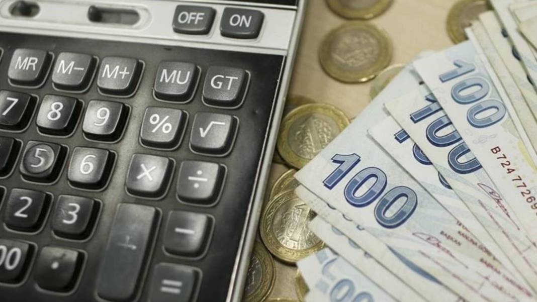 Devletten maaş gibi destek! Her ay 1.170 TL hesapta: e-Devlet'ten hemen başvurun! 3
