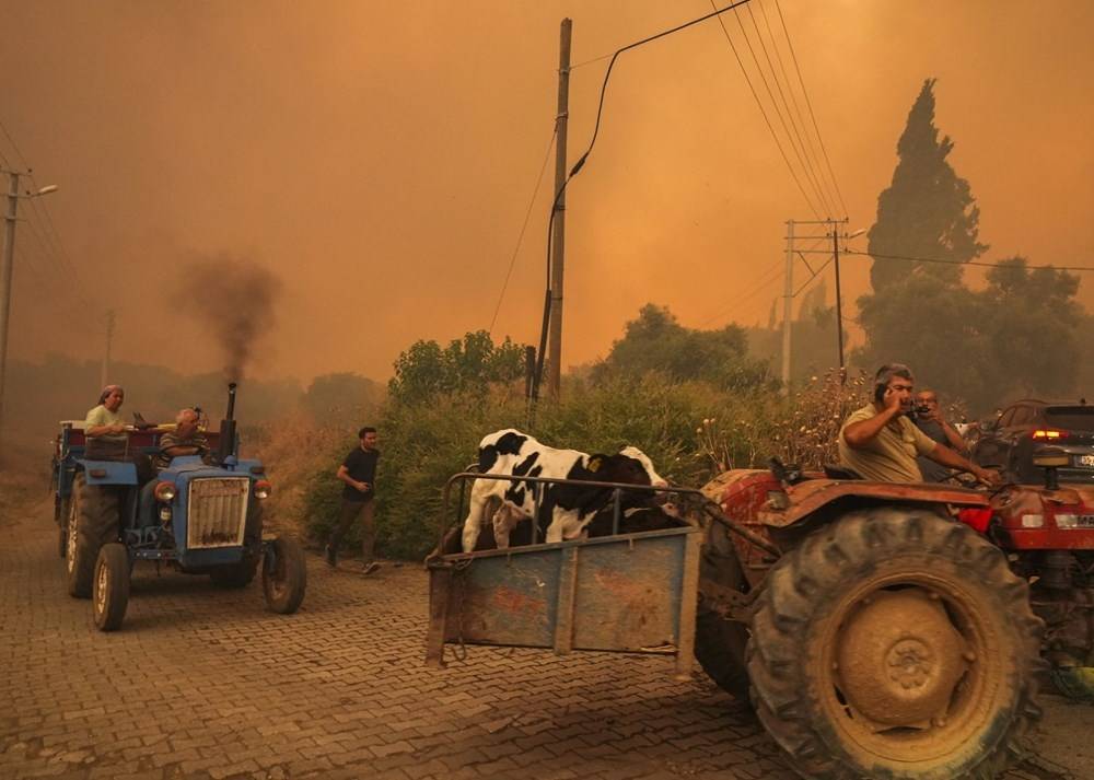 CİĞERLERİMİZ YANIYOR! İzmir'de orman yangınları! İşte il il son durum! 1