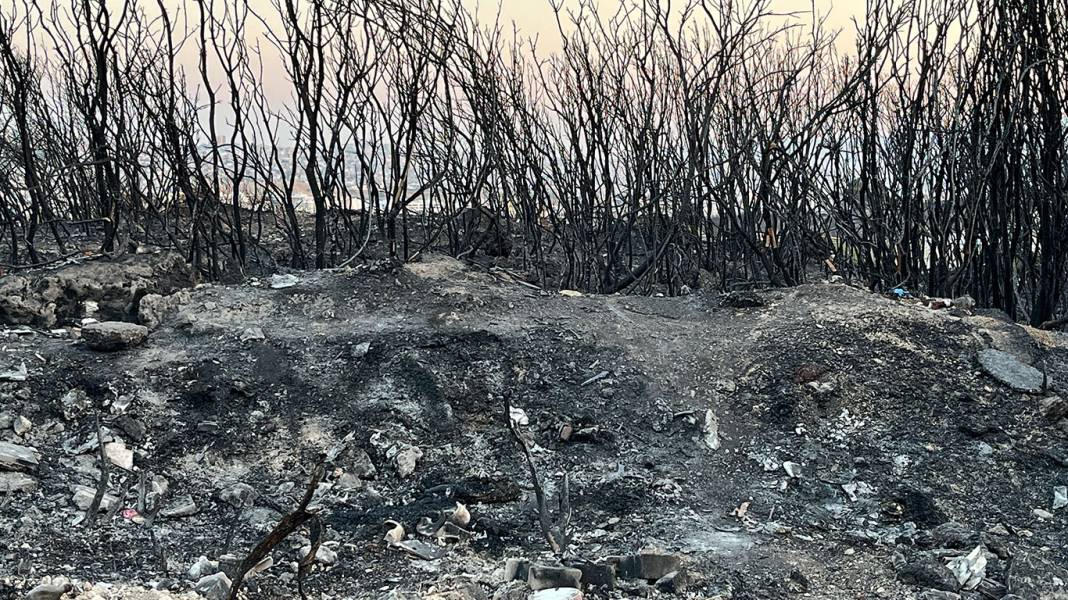 İzmir Buca'da yangın dehşeti... Evlere metreler kala durdu: 3 şüpheli gözaltına alındı 1