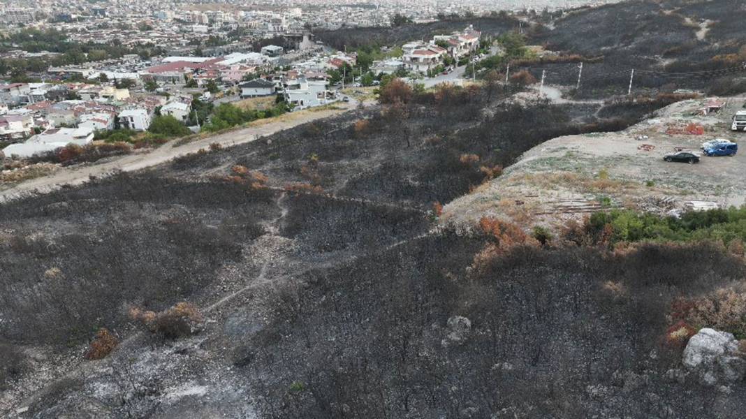 İzmir Buca'da yangın dehşeti... Evlere metreler kala durdu: 3 şüpheli gözaltına alındı 2