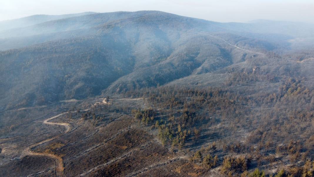 Gelibolu’da doğa küle döndü: Acı tablo böyle görüntülendi 5