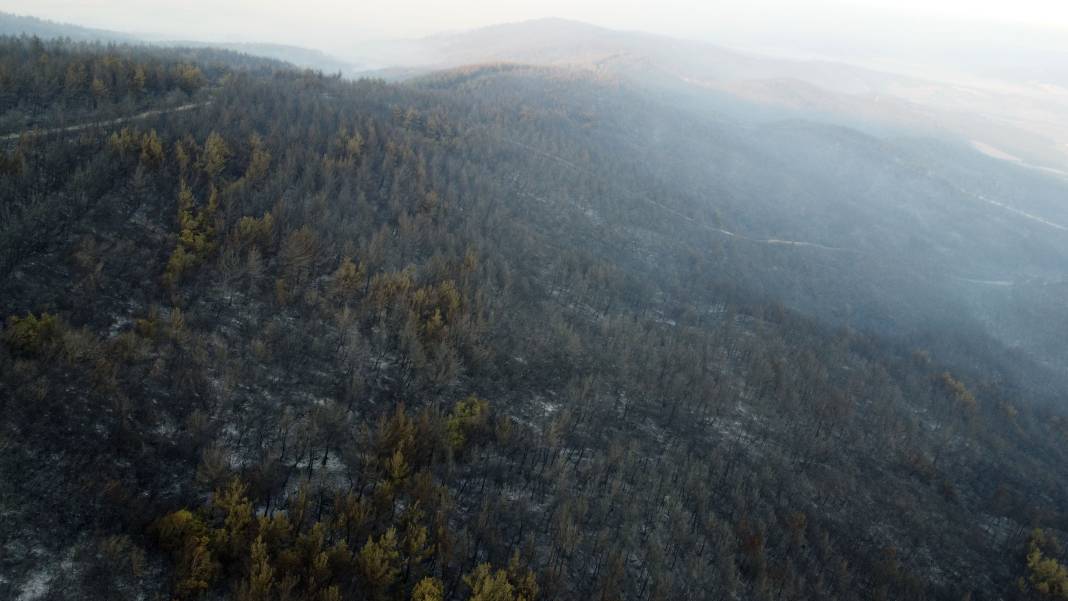 Gelibolu’da doğa küle döndü: Acı tablo böyle görüntülendi 7