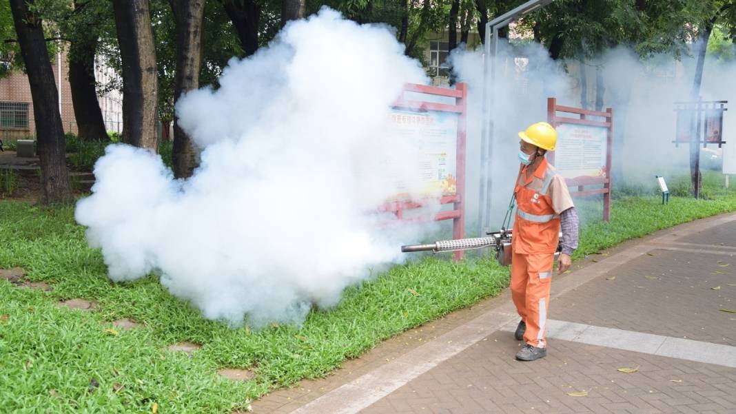 “İkiye Katlanmış Eller” salgını giderek büyüyor! Chikungunya virüsü dünyayı tehdit ediyor 5