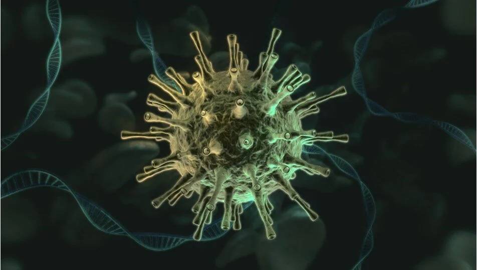 Ölümcül hastalık geri döndü: Kaliforniya’da veba alarmı! 4