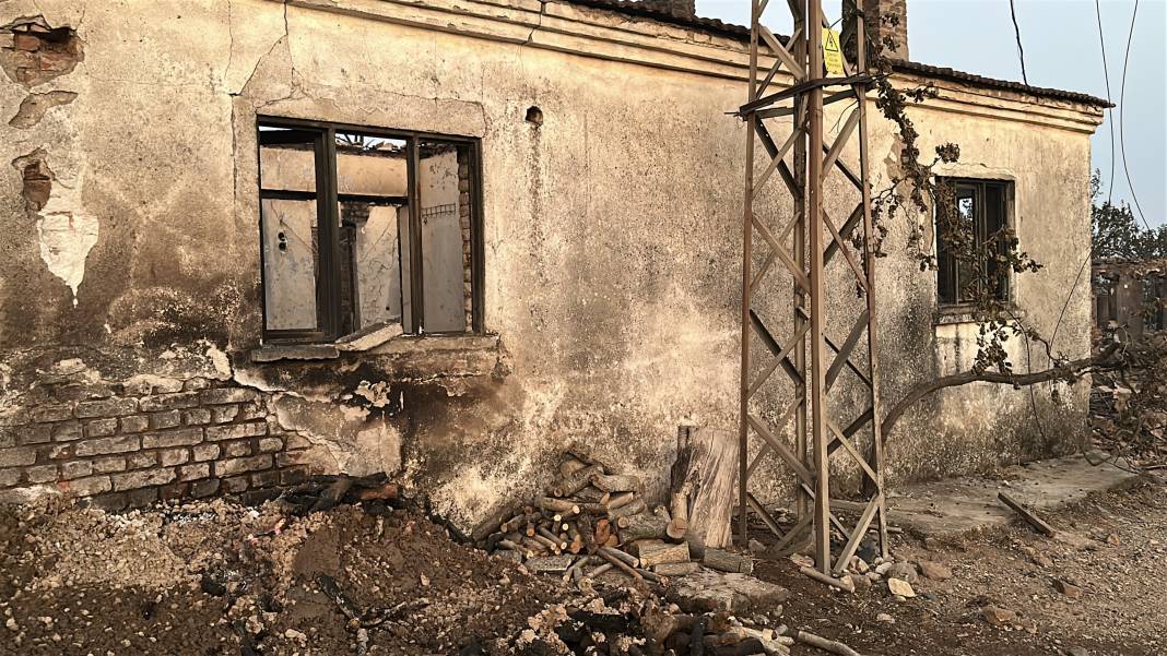 Çanakkale'de orman yangını: Gün ağarınca acı tablo ortaya çıktı 5