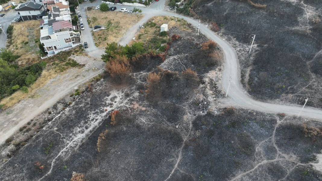İzmir Buca'da yangın dehşeti... Evlere metreler kala durdu: 3 şüpheli gözaltına alındı 3