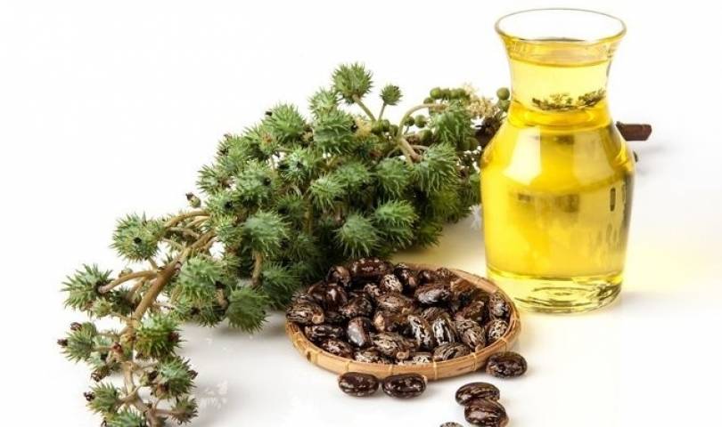 Binlerce yıldır kullanılıyor: Bağırsak sağlığına birebir! İşte kanıtlanmış faydaları 1