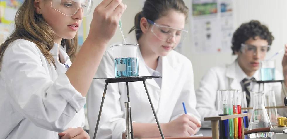 TERCİH YAPACAKLAR DİKKAT: 2025 LGS'YE GÖRE EN YÜKSEK PUANLI 10 ANADOLU LİSESİ BELLİ OLDU! 1