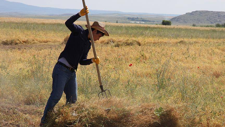 ‘Evde oturuyorum, işsizim’ diye üzülmeyin! Arazi sahibi olup iş sahibi olabileceksiniz 5