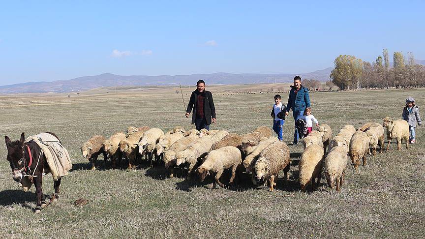 ‘Evde oturuyorum, işsizim’ diye üzülmeyin! Arazi sahibi olup iş sahibi olabileceksiniz 4