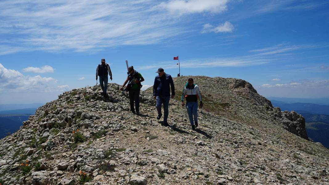 Ilgaz'ın tepesinde 60 milyon yıllık deniz fosili bulundu: Yürüyüş yaparken keşfettiler! 2