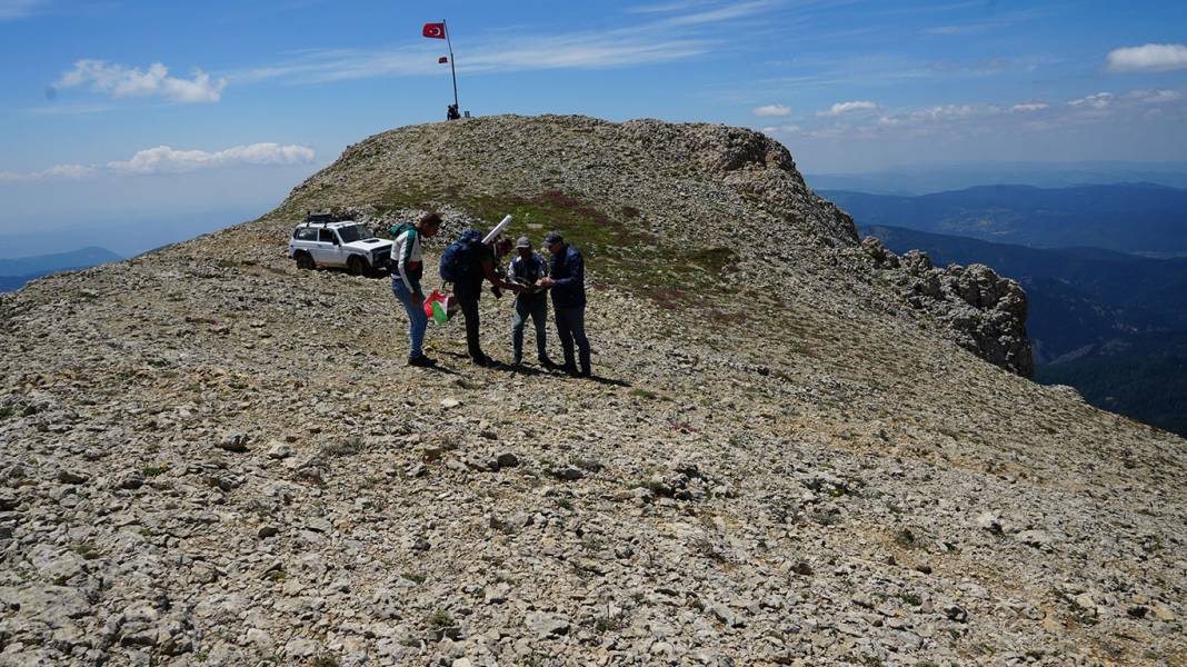 Ilgaz'ın tepesinde 60 milyon yıllık deniz fosili bulundu: Yürüyüş yaparken keşfettiler! 5