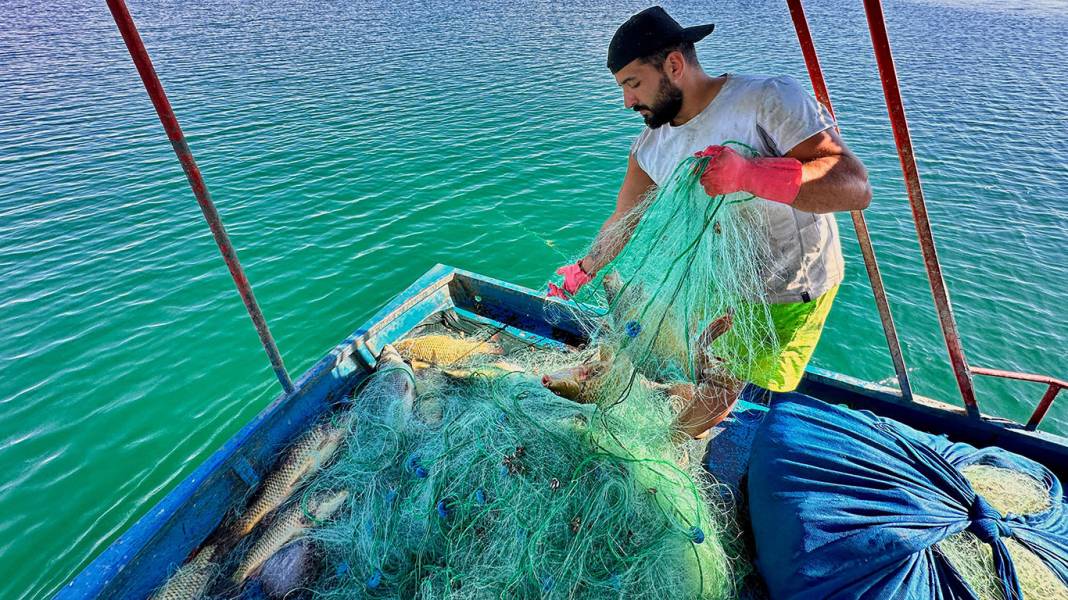 Denizi olmayan Tunceli'de balık tutup 200 bin lira kazanıyor 1