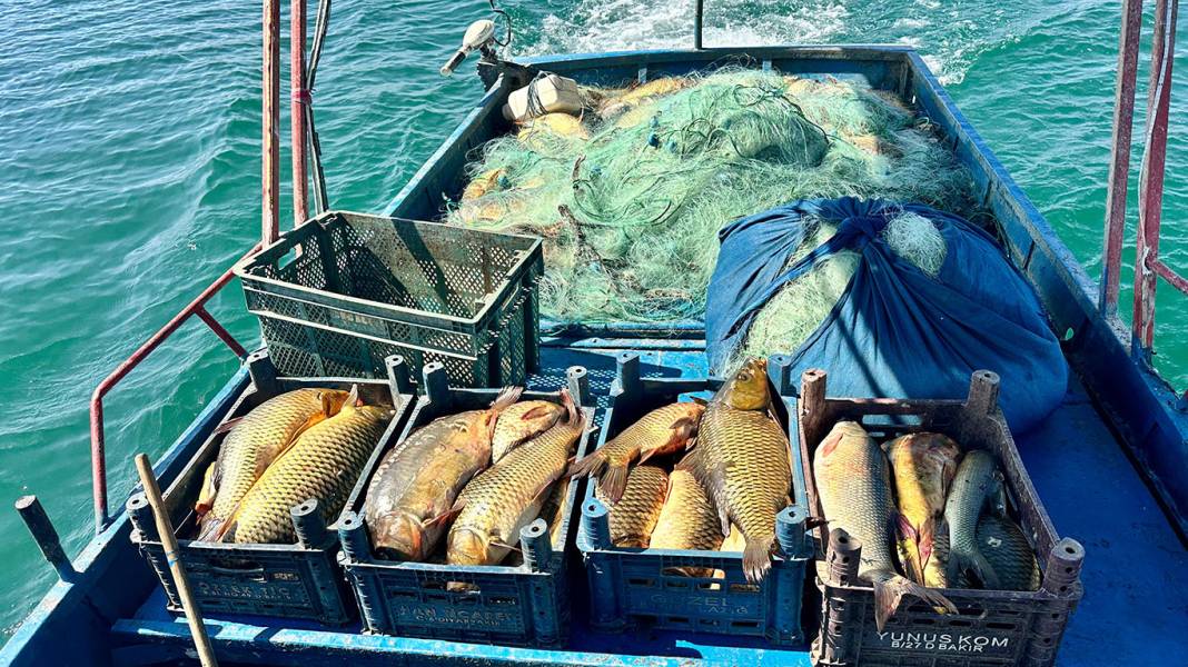 Denizi olmayan Tunceli'de balık tutup 200 bin lira kazanıyor 2