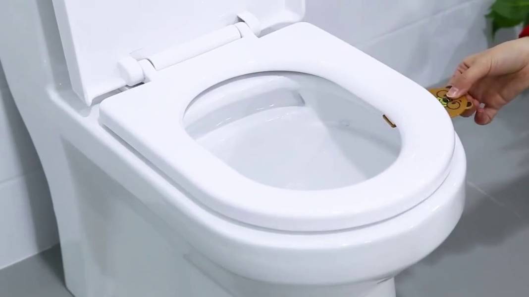 Klozet mi, kapı kolu mu? En kirli yer aslında düşündüğünüz değil! Umumi tuvaletlerden mikrop kapmamak için 7 altın kural 3