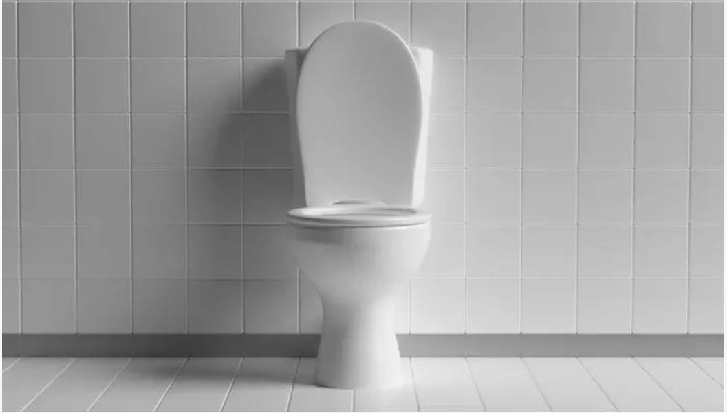 Klozet mi, kapı kolu mu? En kirli yer aslında düşündüğünüz değil! Umumi tuvaletlerden mikrop kapmamak için 7 altın kural 1