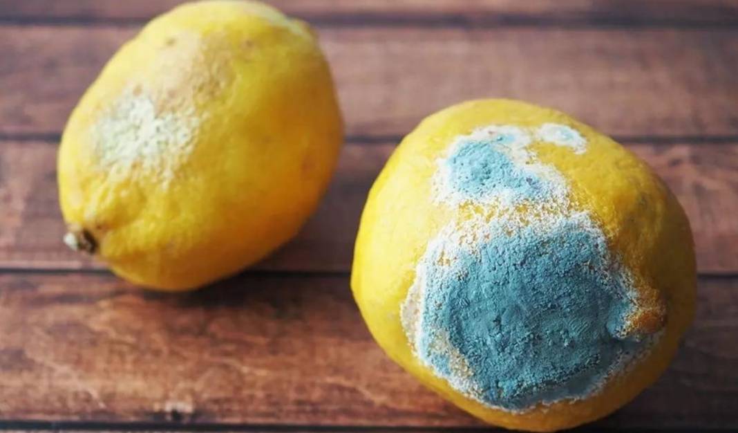 1 parça koymak limonun günlerce taze kalmasını sağlıyor: Limonu çürümeden günlerce muhafaza etmenin formülü bulundu! 2