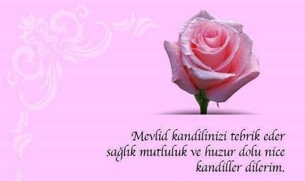 Mevlid Kandili mesajları ve sözleri 2025: Kısa, uzun, anlamlı, ayetli, hadisli, dualı, resimli Mevlid Kandili paylaşımları 4