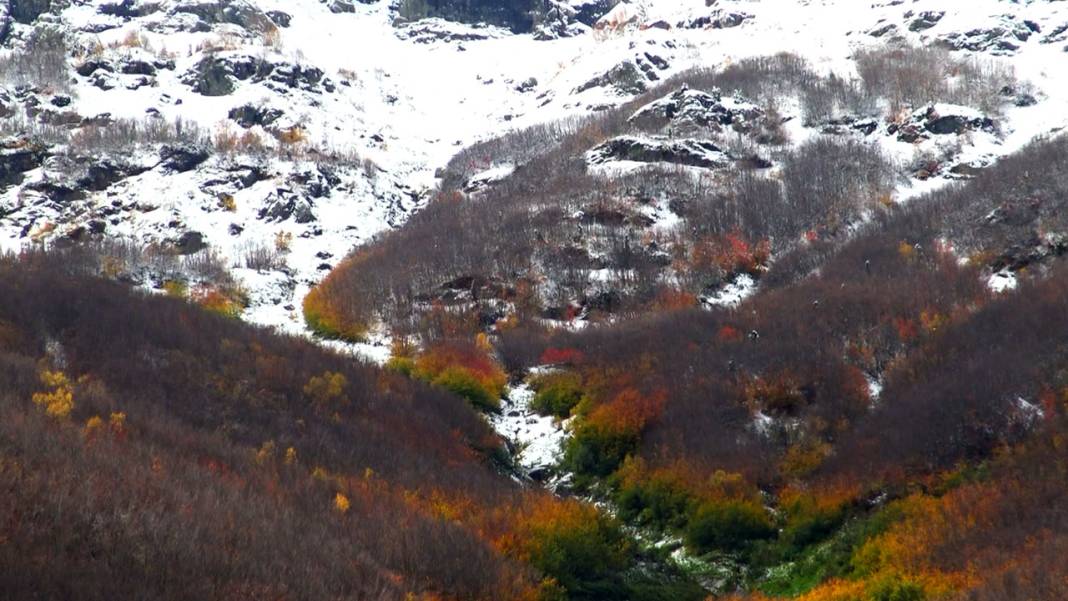 Artvin sonbahar renklerine büründü: Büyüleyici manzara için ziyaretçi akını! 3