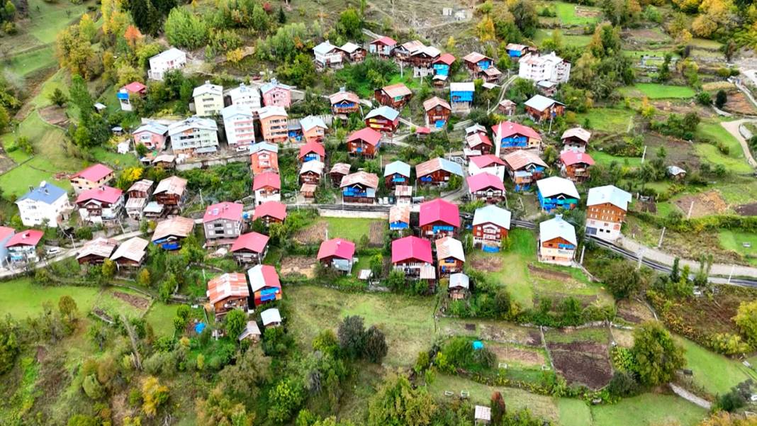 Artvin sonbahar renklerine büründü: Büyüleyici manzara için ziyaretçi akını! 2