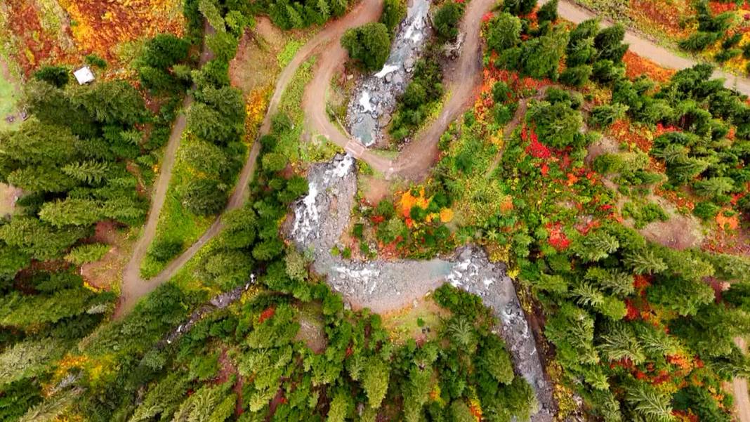 Artvin sonbahar renklerine büründü: Büyüleyici manzara için ziyaretçi akını! 4