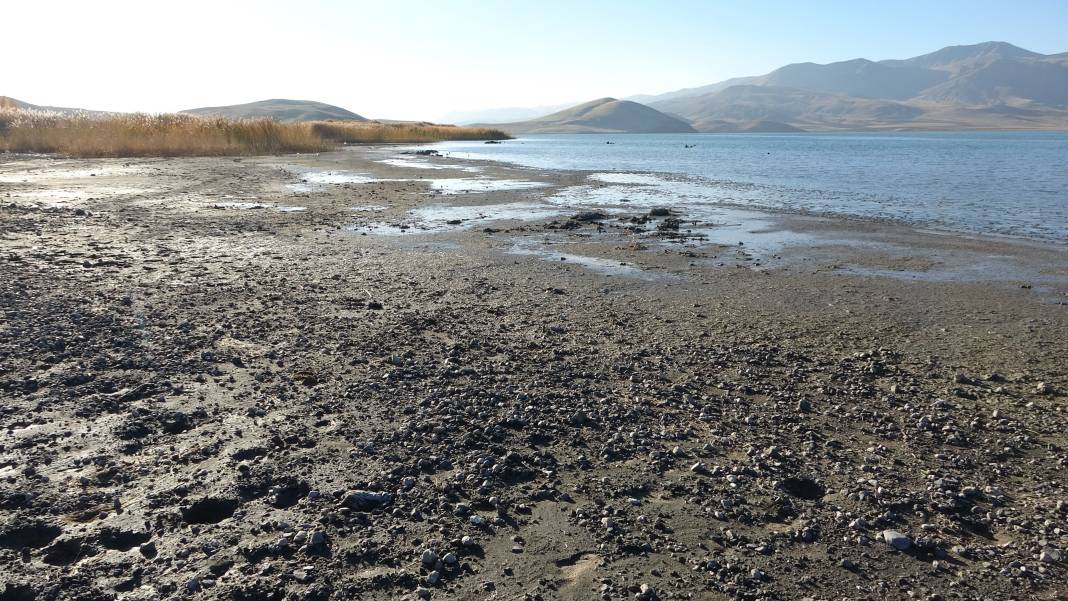 Kuraklık Erçek Gölü'nün sırrını ortaya çıkardı: Mikrobiyalitler gün yüzünde 1