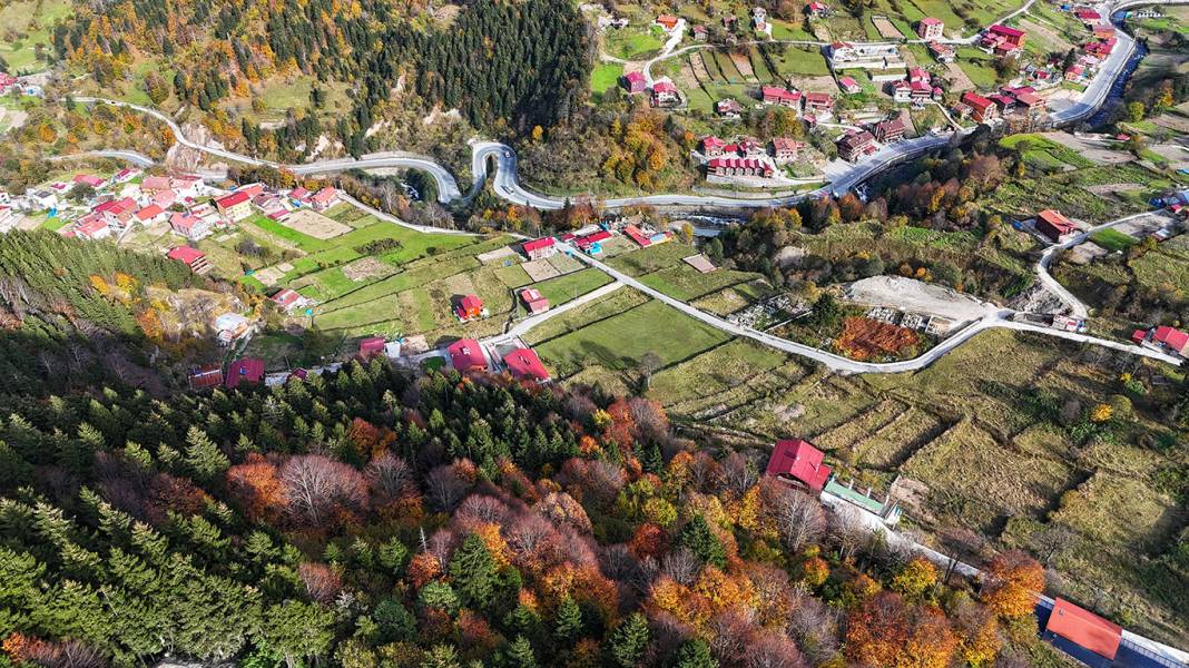 Uzungöl sonbaharda renk cümbüşüyle göz kamaştırıyor 2