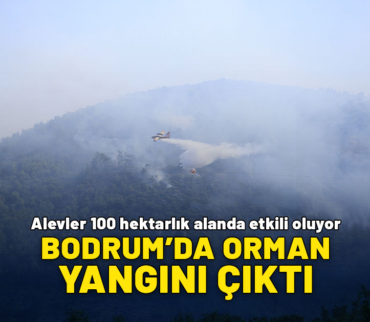 Bodrum'da orman yangını çıktı: 100 hektarlık alanda etkili oluyor