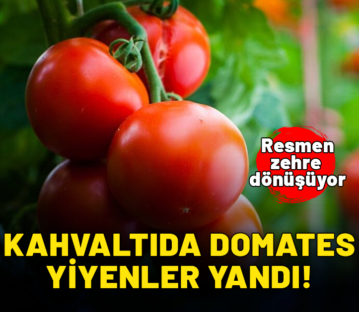 Kahvaltıda domates yiyenler yandı! Resmen zehre dönüşüyor