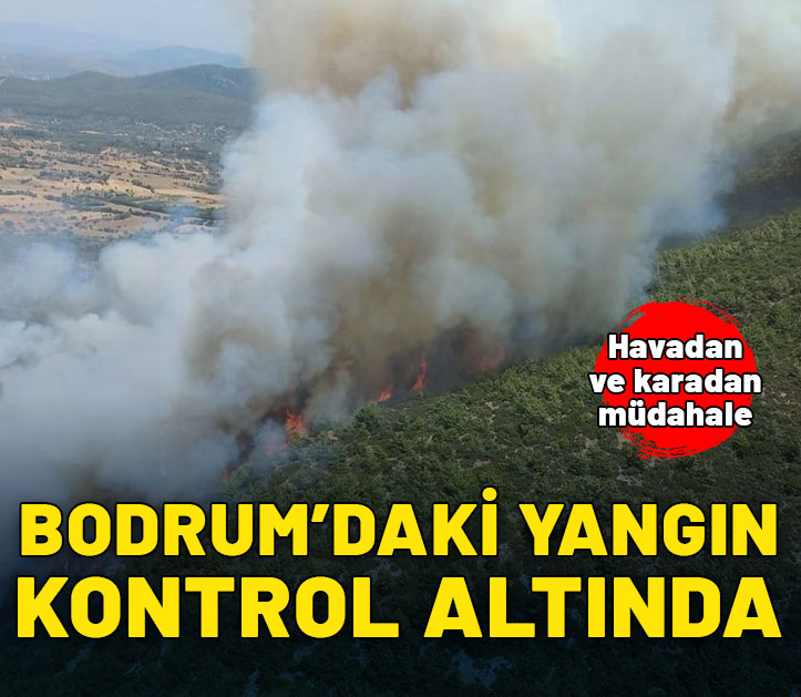 Bodrum'daki yangın kontrol altına alındı